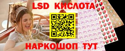 ешки Славгород