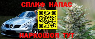 стаф Славянск-на-Кубани
