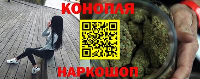 шишки Сланцы
